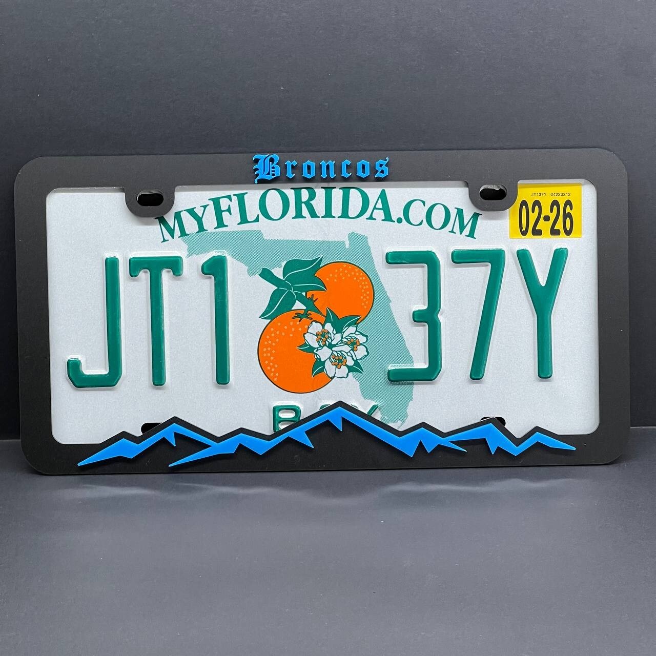 BRONCO MOUNTAINS LICENSE PLATE FRAME COLOR CHOICE -HIKING-MOUNTAINS-CAMPING