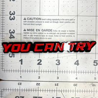 1PC YOU CAN TRY Emblem – Durable 3D Acrylic Car & Truck Exterior Decal