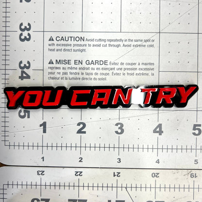 1PC YOU CAN TRY Emblem – Durable 3D Acrylic Car & Truck Exterior Decal