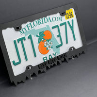 Beep Beep Bitch Black License Plate Frame Cover, Frame, Car Frame