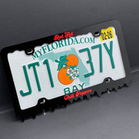 Red Hot Chili Peppers Black License Plate Frame Cover, Frame, Car Frame