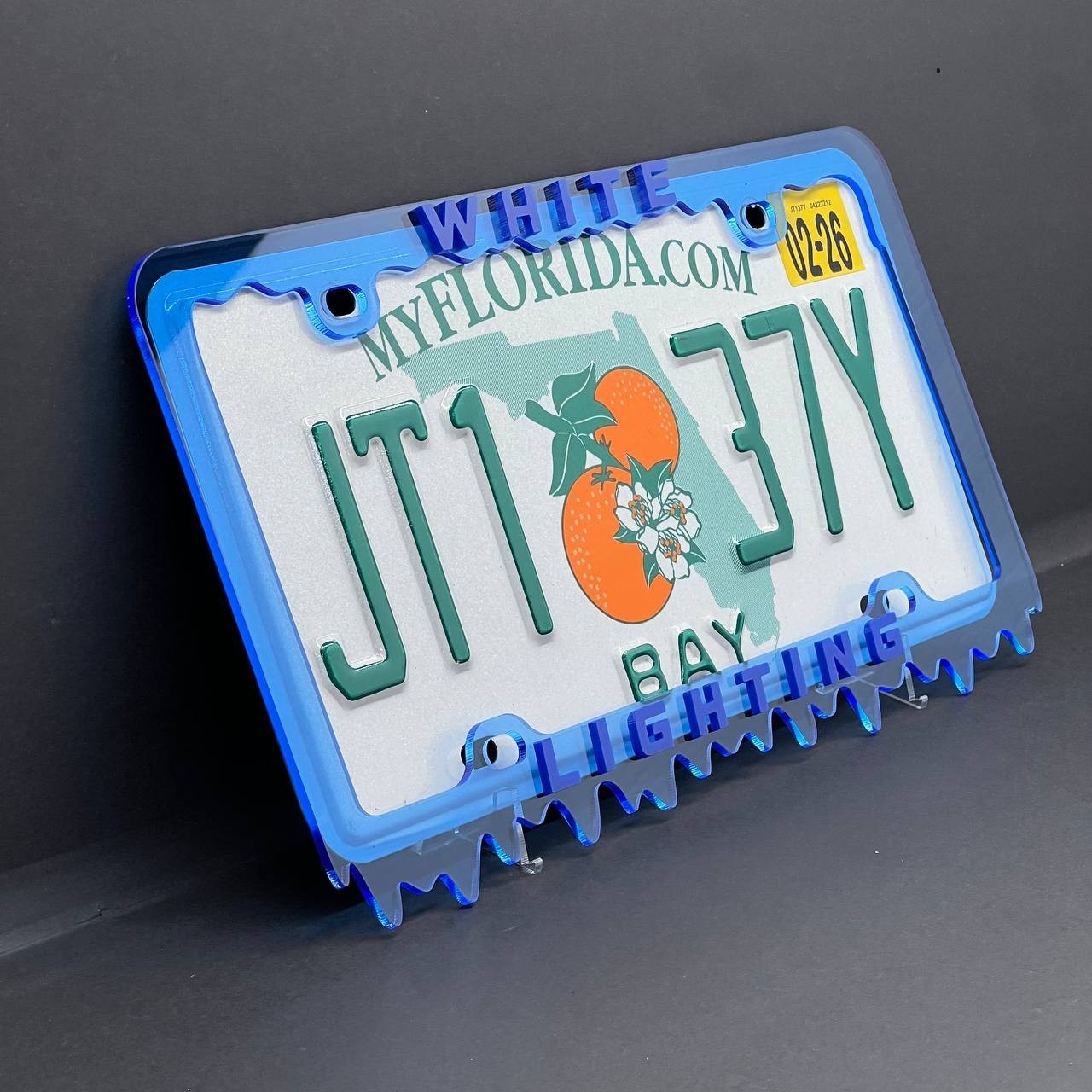 WHITE LIGHTING License Plate Frame Cover – Car Tag Frame for Truck SUV Car