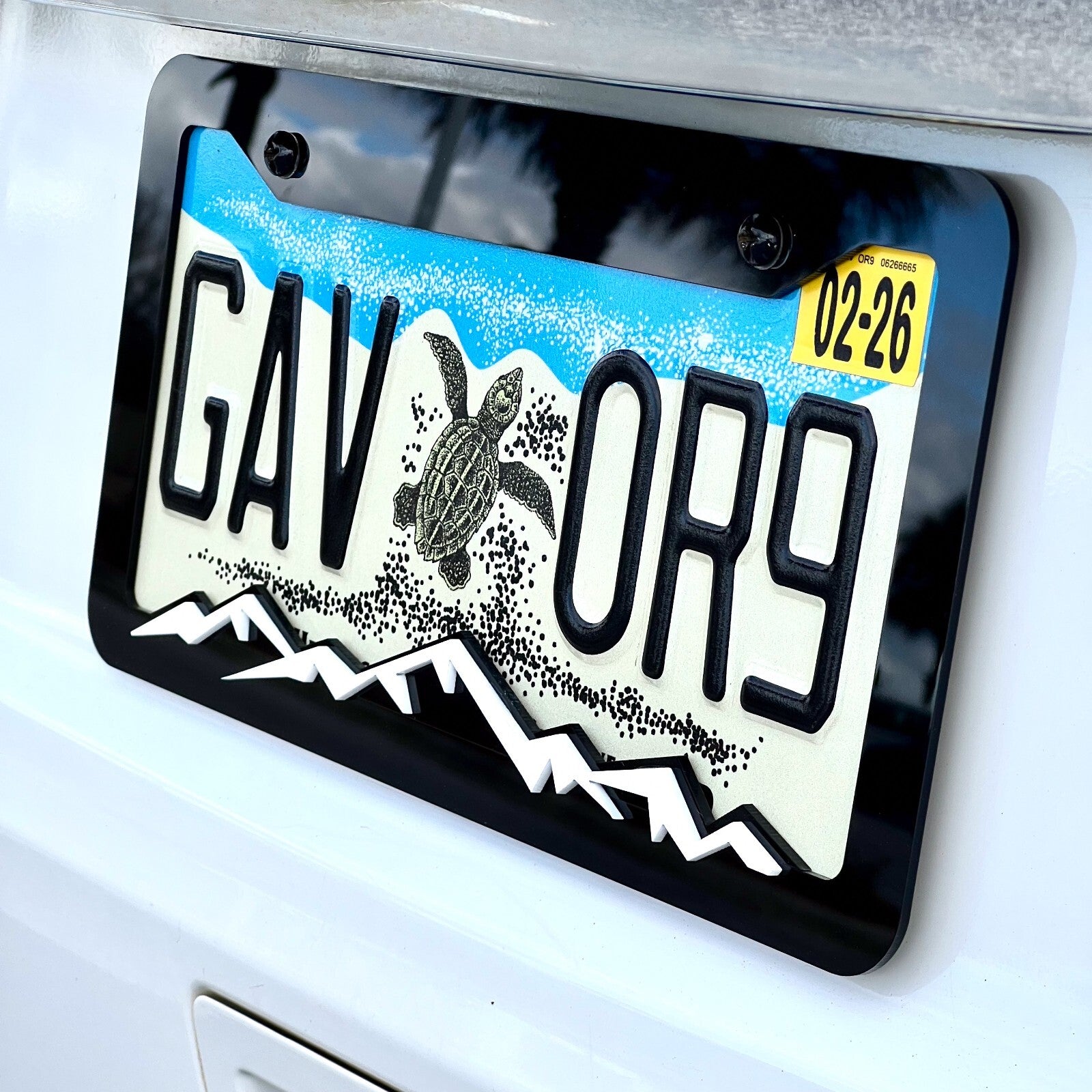 MOUNTAINS COLOR CHOICE LICENSE PLATE FRAME-HIKING-MOUNTAINS-CAMPING