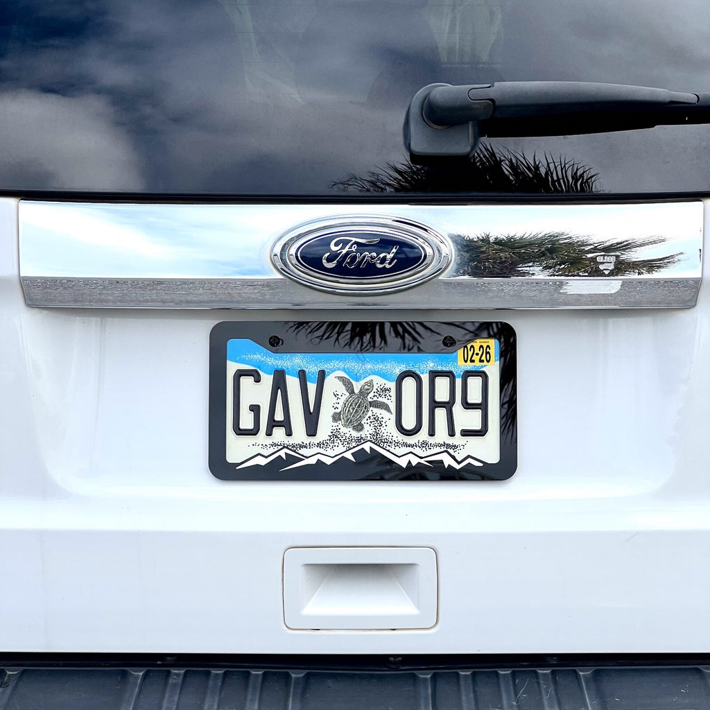 MOUNTAINS COLOR CHOICE LICENSE PLATE FRAME-HIKING-MOUNTAINS-CAMPING