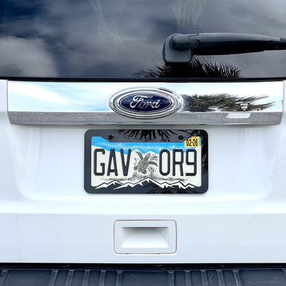 MOUNTAINS COLOR CHOICE LICENSE PLATE FRAME-HIKING-MOUNTAINS-CAMPING