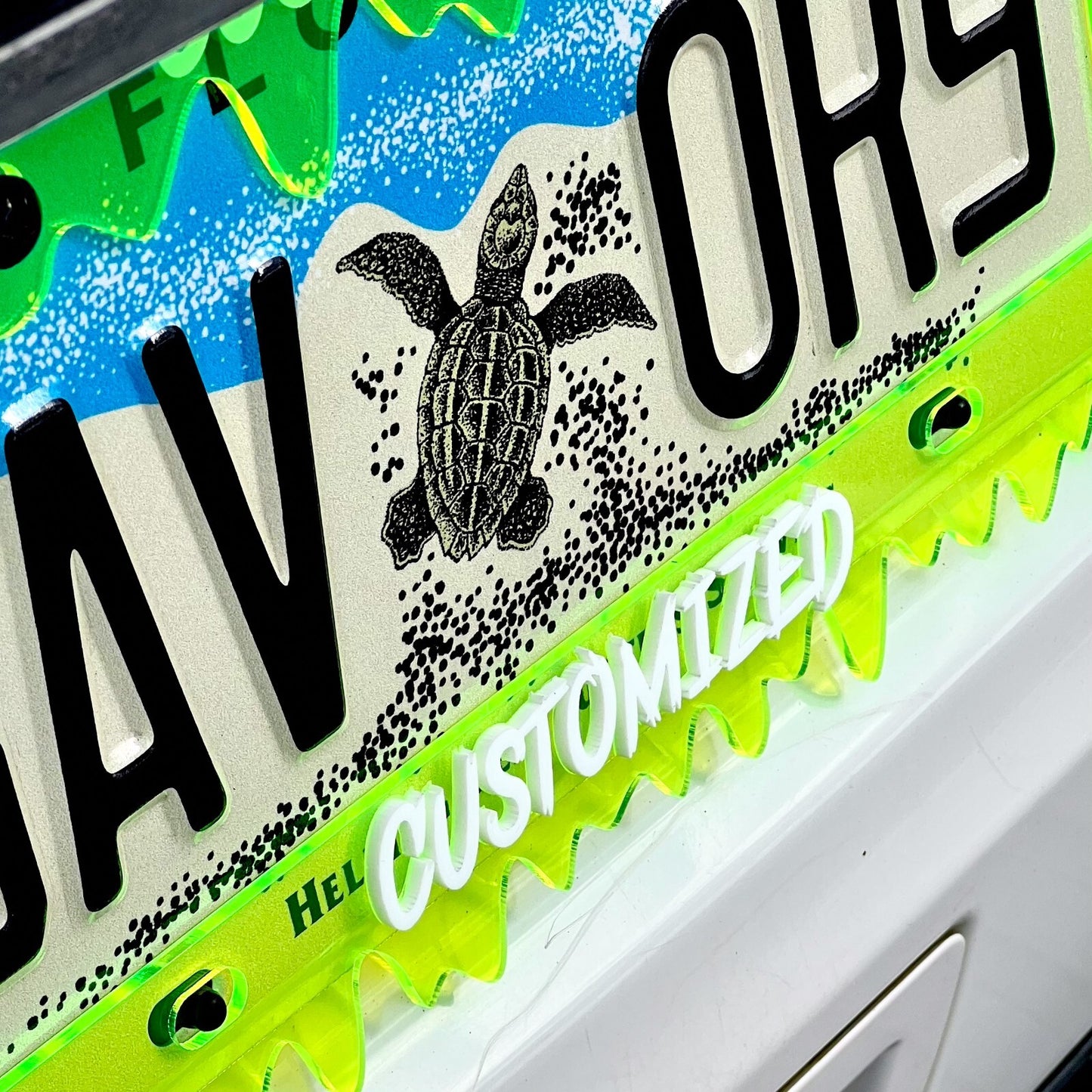 CUSTOM License Plate Frame MULTI COLOR