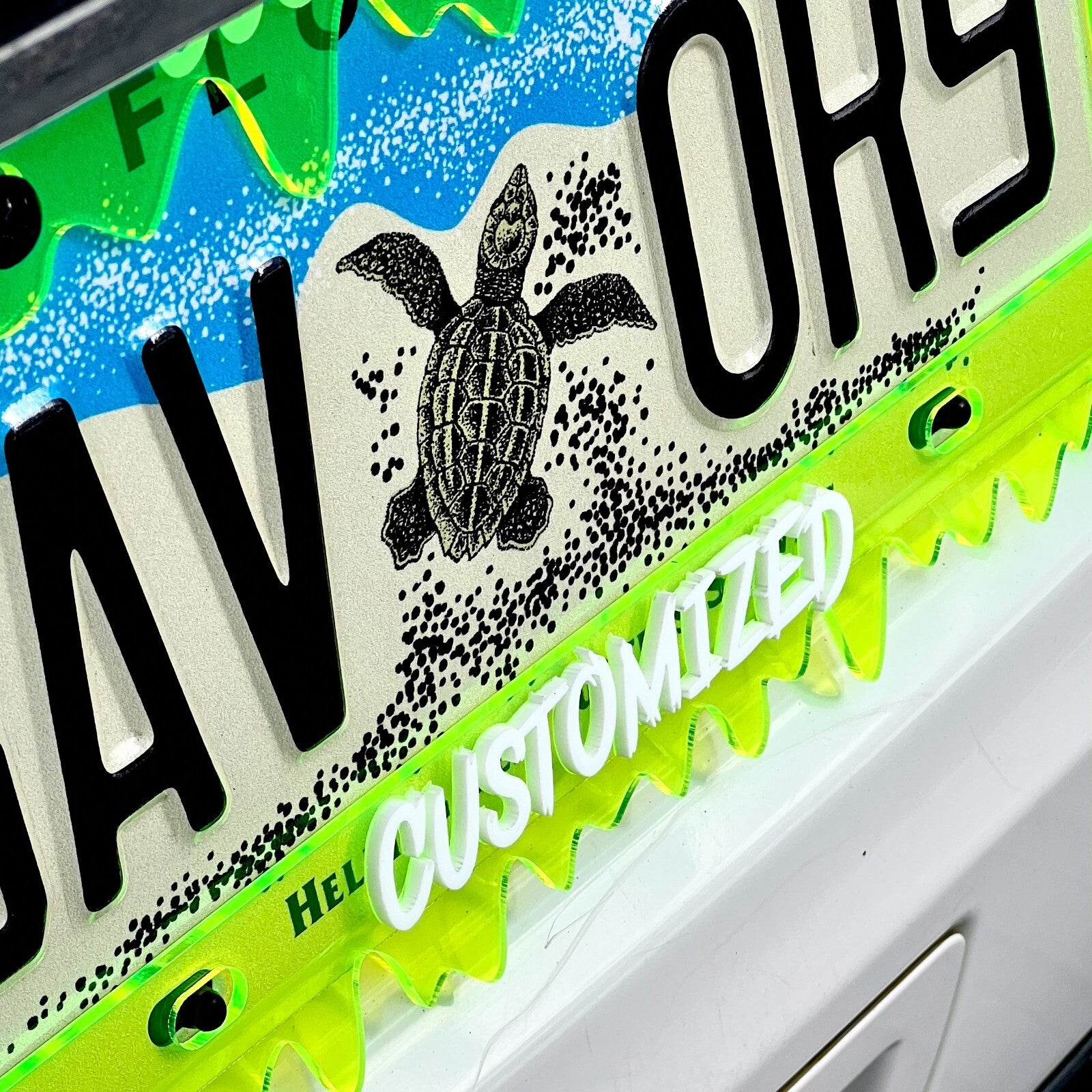 CUSTOM License Plate Frame MULTI COLOR