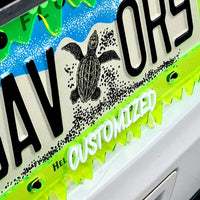 CUSTOM License Plate Frame MULTI COLOR