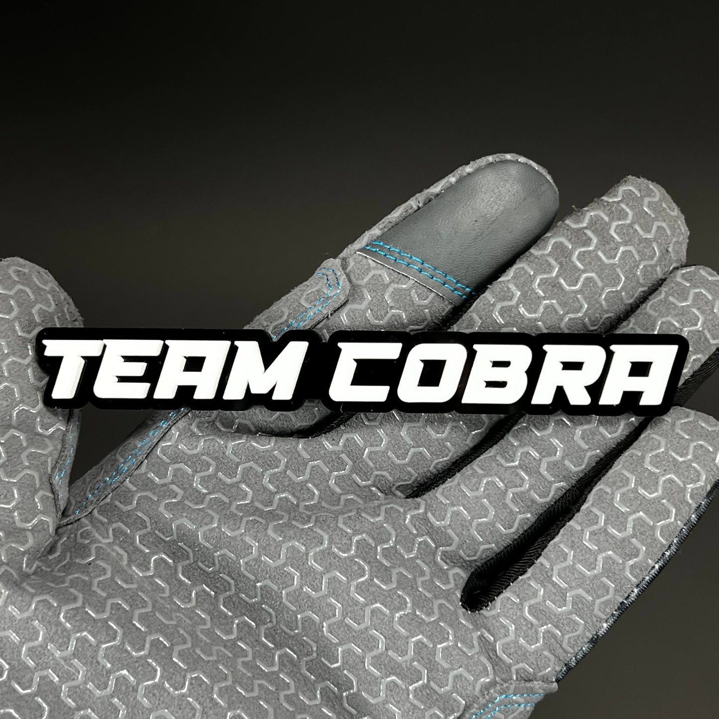 1PC TEAM COBRA 3D Acrylic Badge - Car Truck Emblem Fender Tailgate Trunk Sticker
