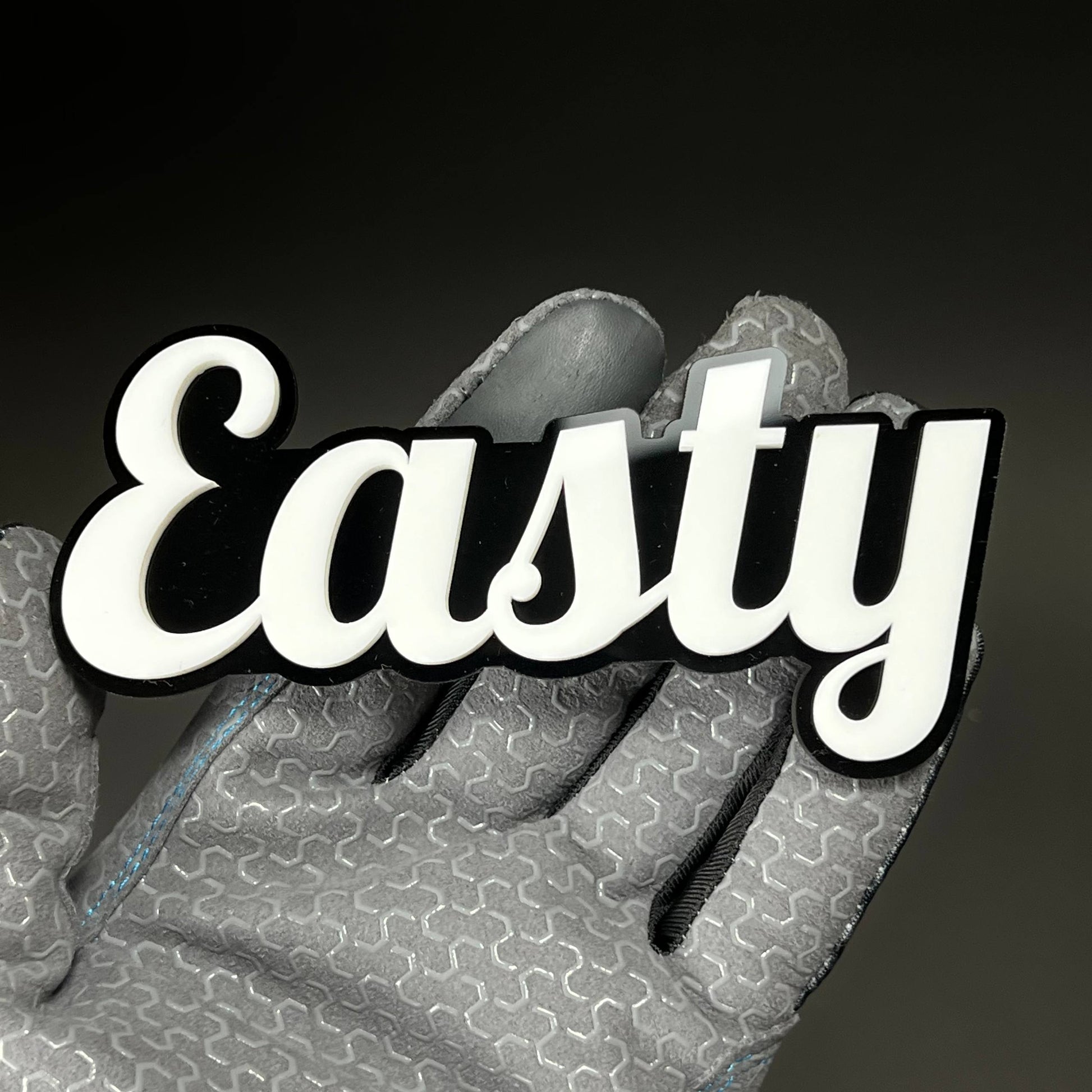1PC Easty 3D Acrylic Badge - Car Truck Emblem Fender Tailgate Trunk Sticker