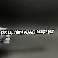 1PC LTK LIL TOWN KENNEL MOODY BOY 3D Acrylic Car Badge - Fender Emblem