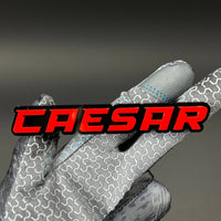 1PC CAESAR 3D Acrylic Badge - Car Truck Emblem Fender Tailgate Trunk Sticker