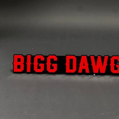 1PC BIGG DAWG 3D Acrylic Badge - Car Truck Emblem Fender Tailgate Trunk Sticker