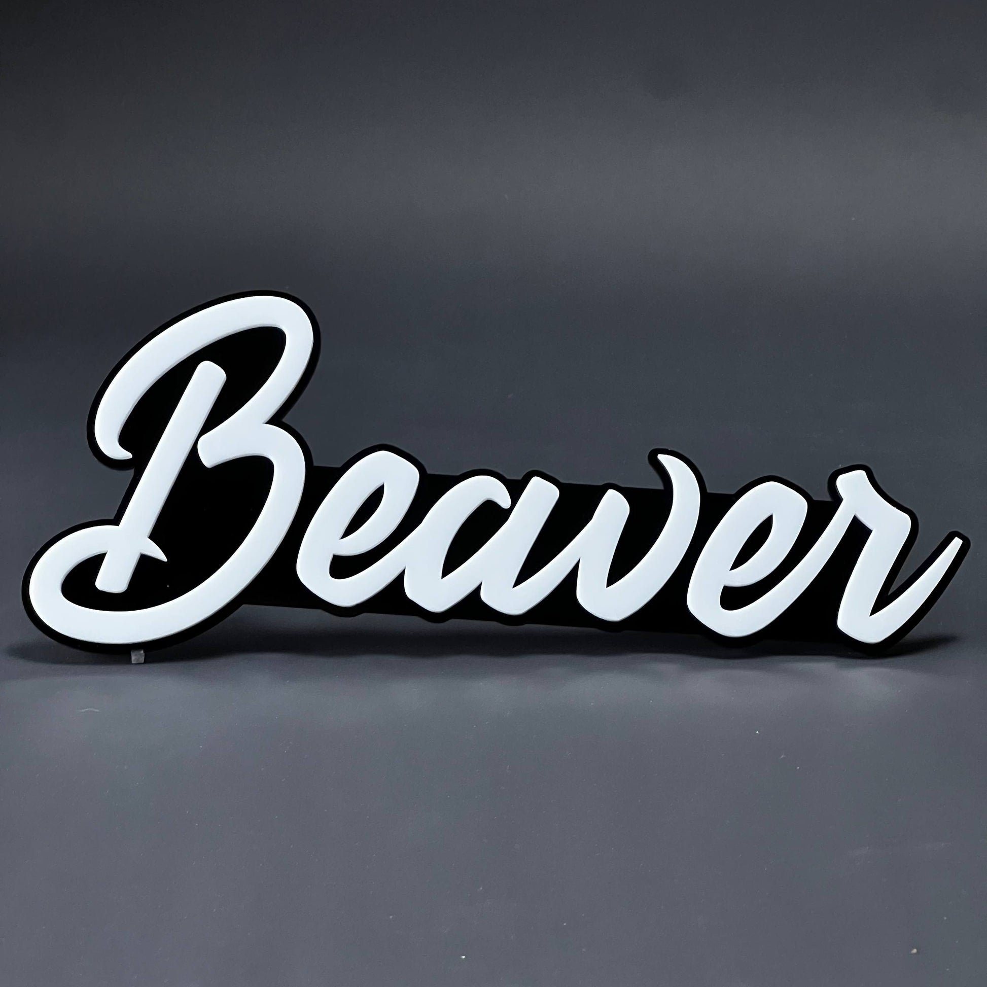 1PC Beaver 3D Acrylic Badge - Car Truck Emblem Fender Tailgate Trunk Sticker