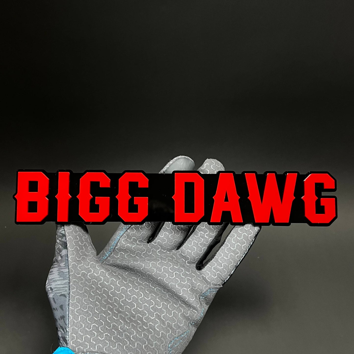 1PC BIGG DAWG 3D Acrylic Badge - Car Truck Emblem Fender Tailgate Trunk Sticker