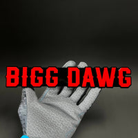 1PC BIGG DAWG 3D Acrylic Badge - Car Truck Emblem Fender Tailgate Trunk Sticker