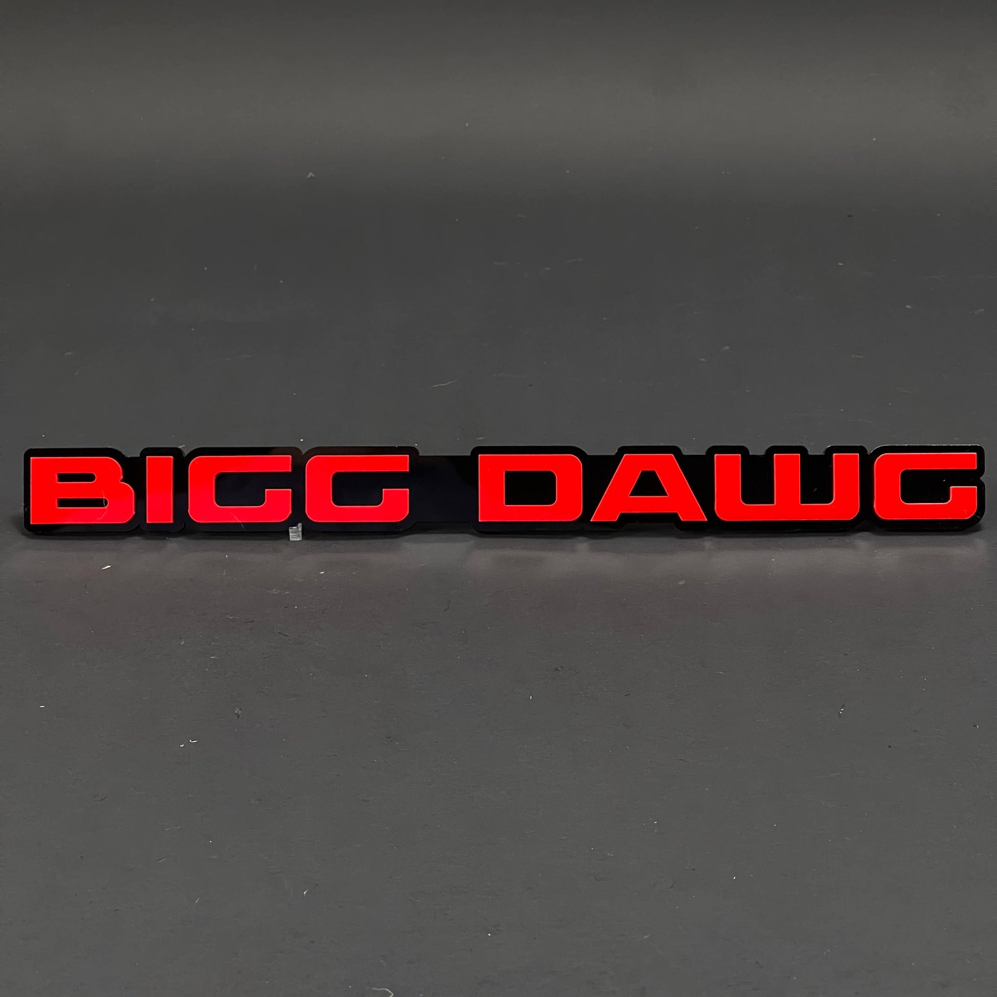 1PC BIGG DAWG 3D Acrylic Badge - Car Truck Emblem Fender Tailgate Trunk Sticker