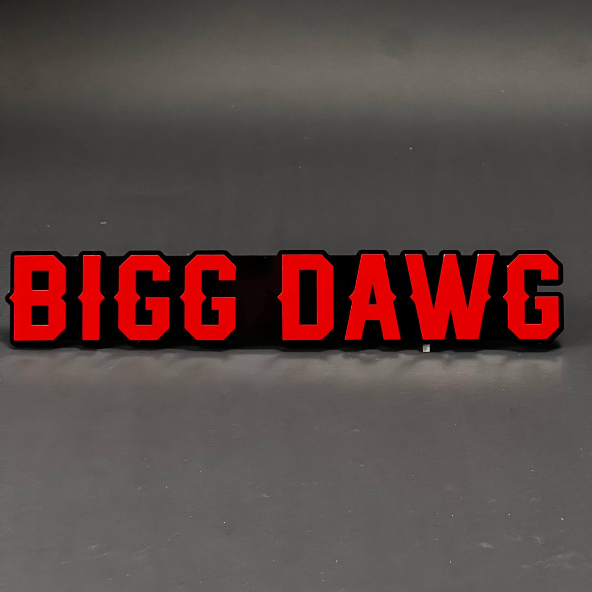 1PC BIGG DAWG 3D Acrylic Badge - Car Truck Emblem Fender Tailgate Trunk Sticker