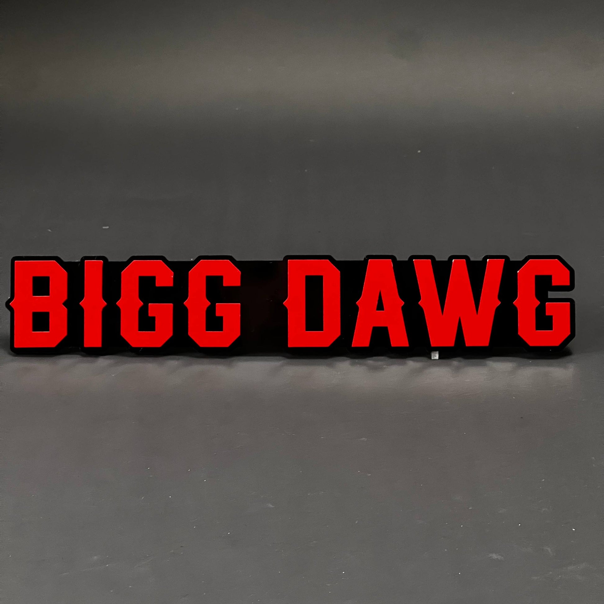 1PC BIGG DAWG 3D Acrylic Badge - Car Truck Emblem Fender Tailgate Trunk Sticker