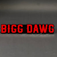 1PC BIGG DAWG 3D Acrylic Badge - Car Truck Emblem Fender Tailgate Trunk Sticker