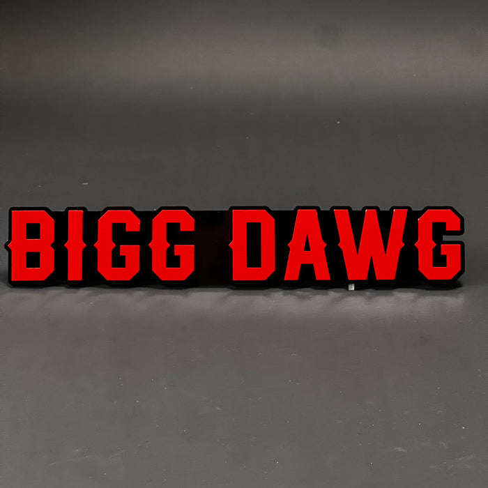 1PC BIGG DAWG 3D Acrylic Badge - Car Truck Emblem Fender Tailgate Trunk Sticker