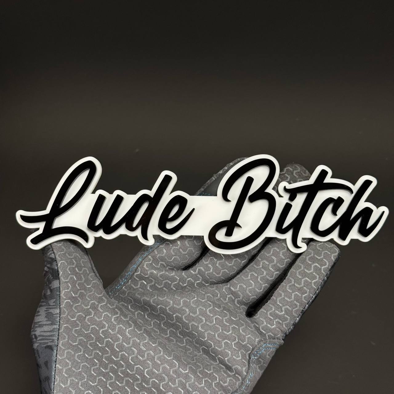 1PC Lude Bitch 3D Acrylic Badge - Car Truck Emblem Fender Tailgate Trunk Sticker