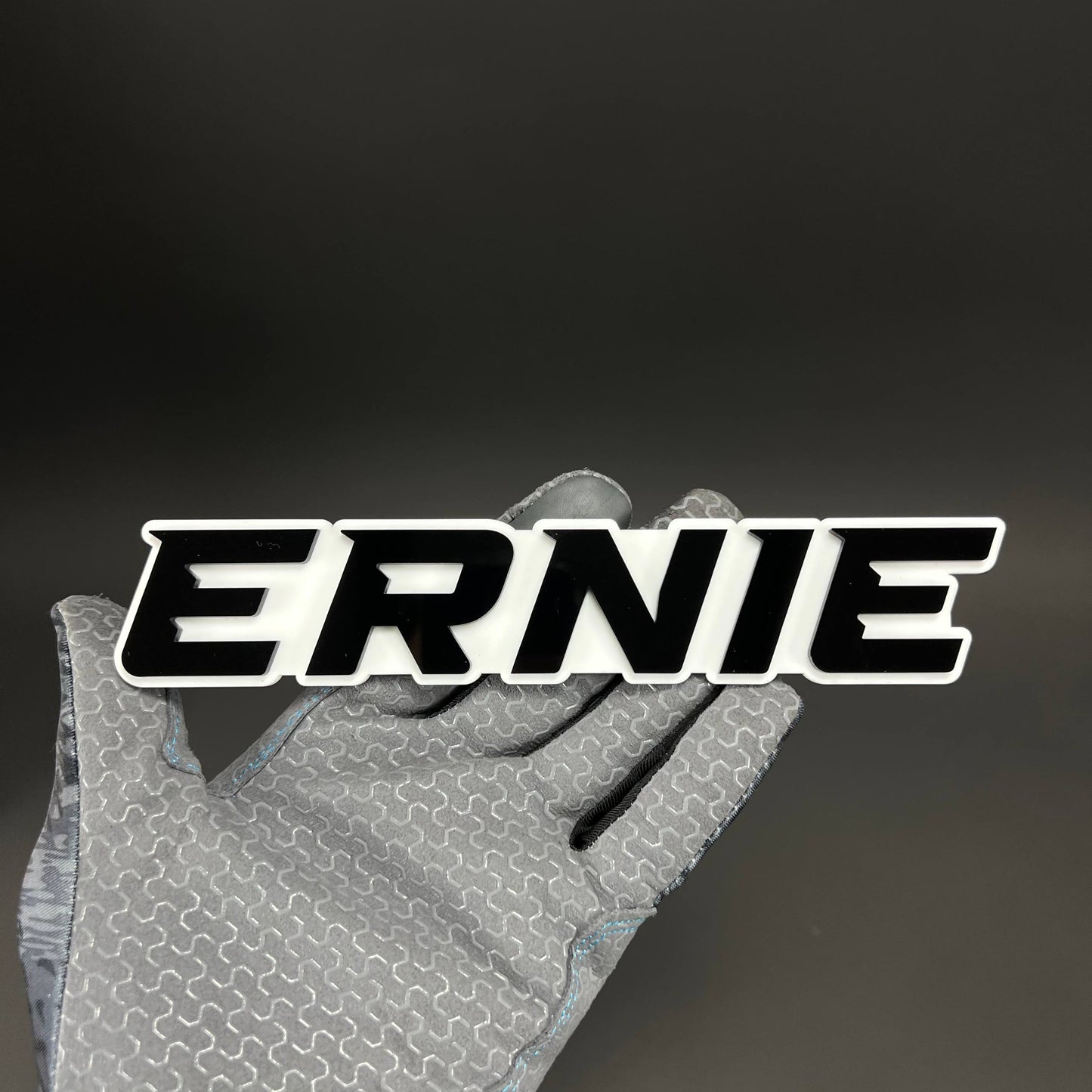 1PC ERNIE 3D Acrylic Badge - Car Truck Emblem Fender Tailgate Trunk Sticker