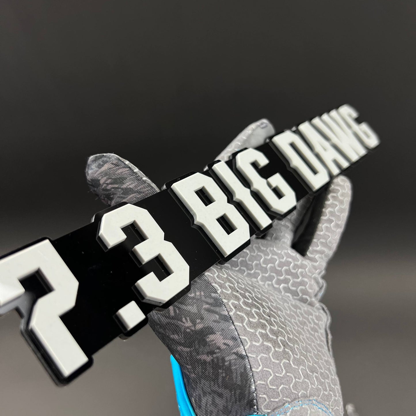 1PC 7.3 BIG DAWG 3D Acrylic Badge - Car Truck Emblem Fender Sticker