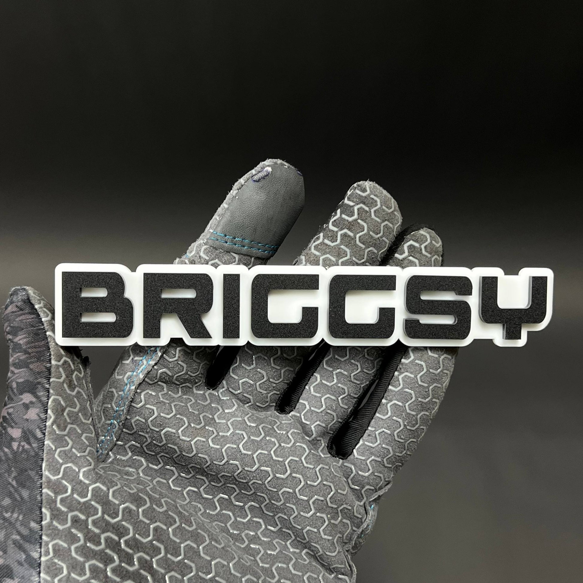 1PC BRIGGSY 3D Acrylic Badge - Car Truck Emblem Fender Tailgate Trunk Sticker