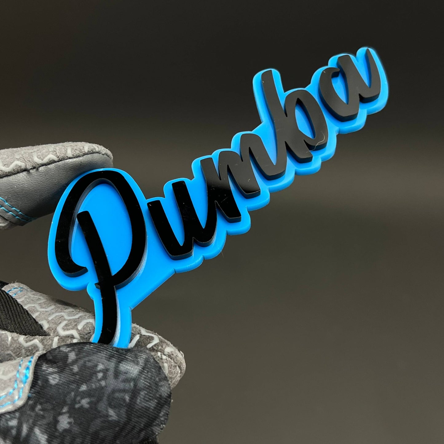 1PC Pumba 3D Acrylic Badge - Car Truck Emblem Fender Tailgate Trunk Sticker