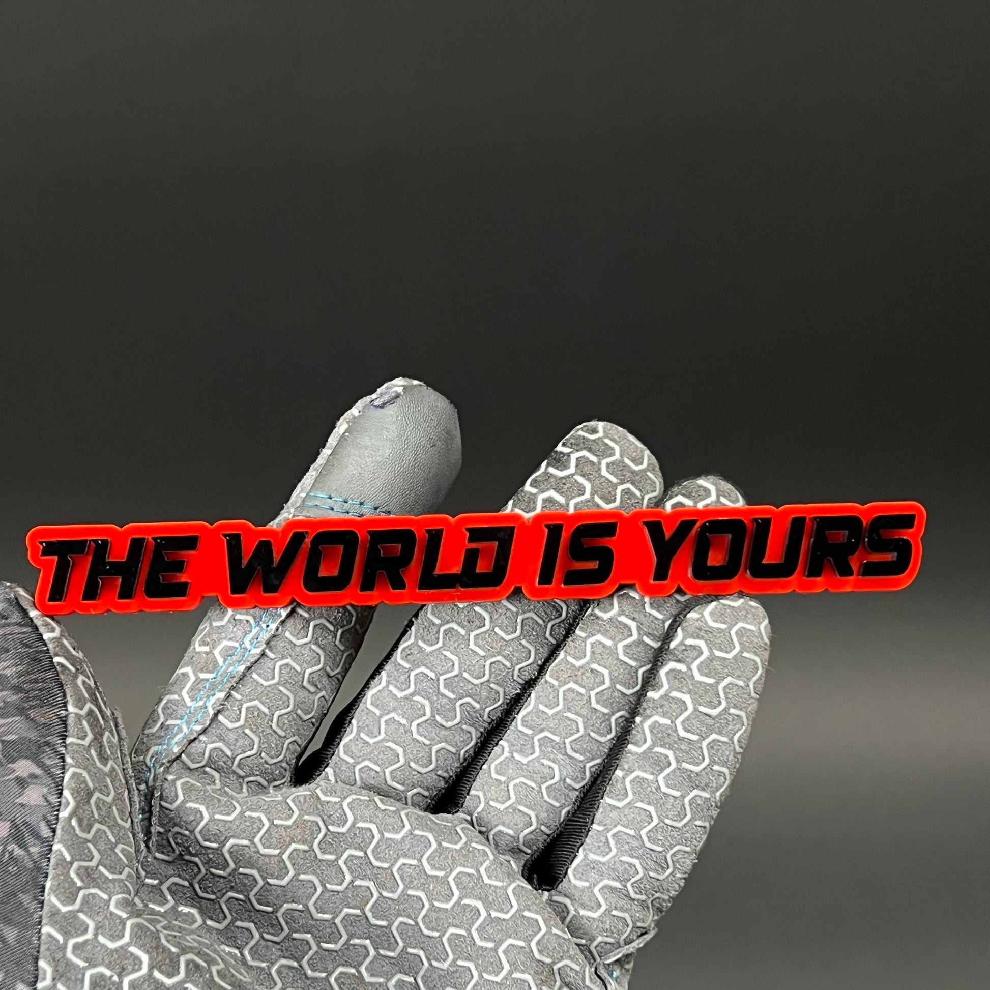 1PC THE WORLD IS YOURS 3D Acrylic Badge - Car Truck Emblem Fender Sticker