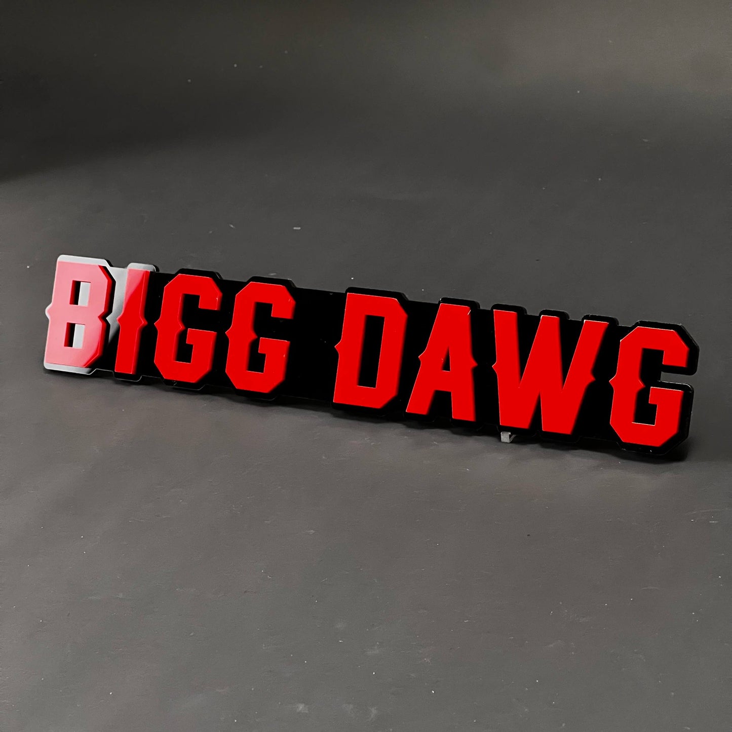 1PC BIGG DAWG 3D Acrylic Badge - Car Truck Emblem Fender Tailgate Trunk Sticker