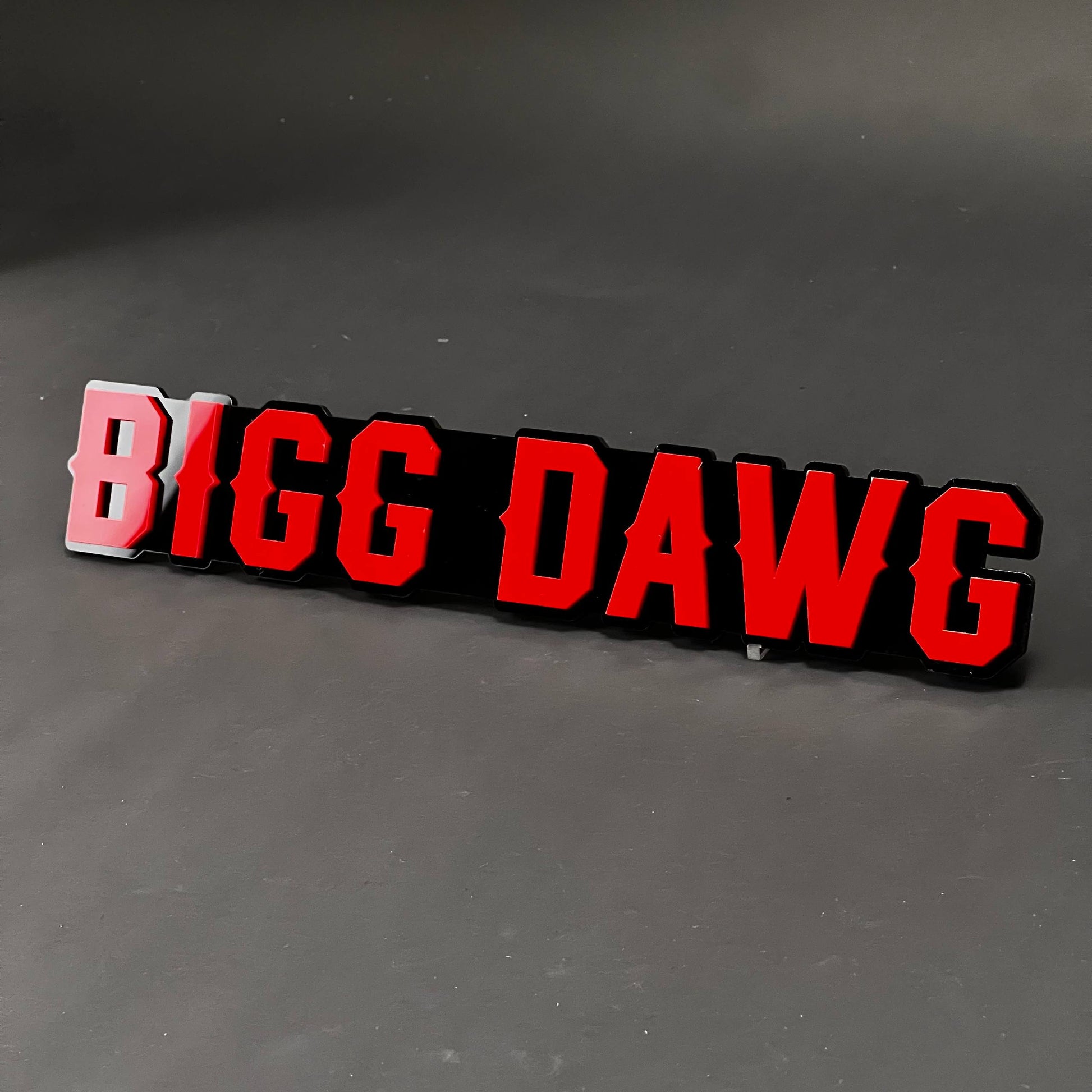 1PC BIGG DAWG 3D Acrylic Badge - Car Truck Emblem Fender Tailgate Trunk Sticker