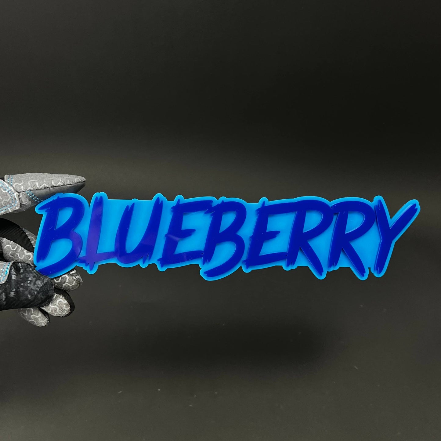1PC BLUEBERRY 3D Acrylic Badge - Car Truck Emblem Fender Tailgate Trunk Sticker