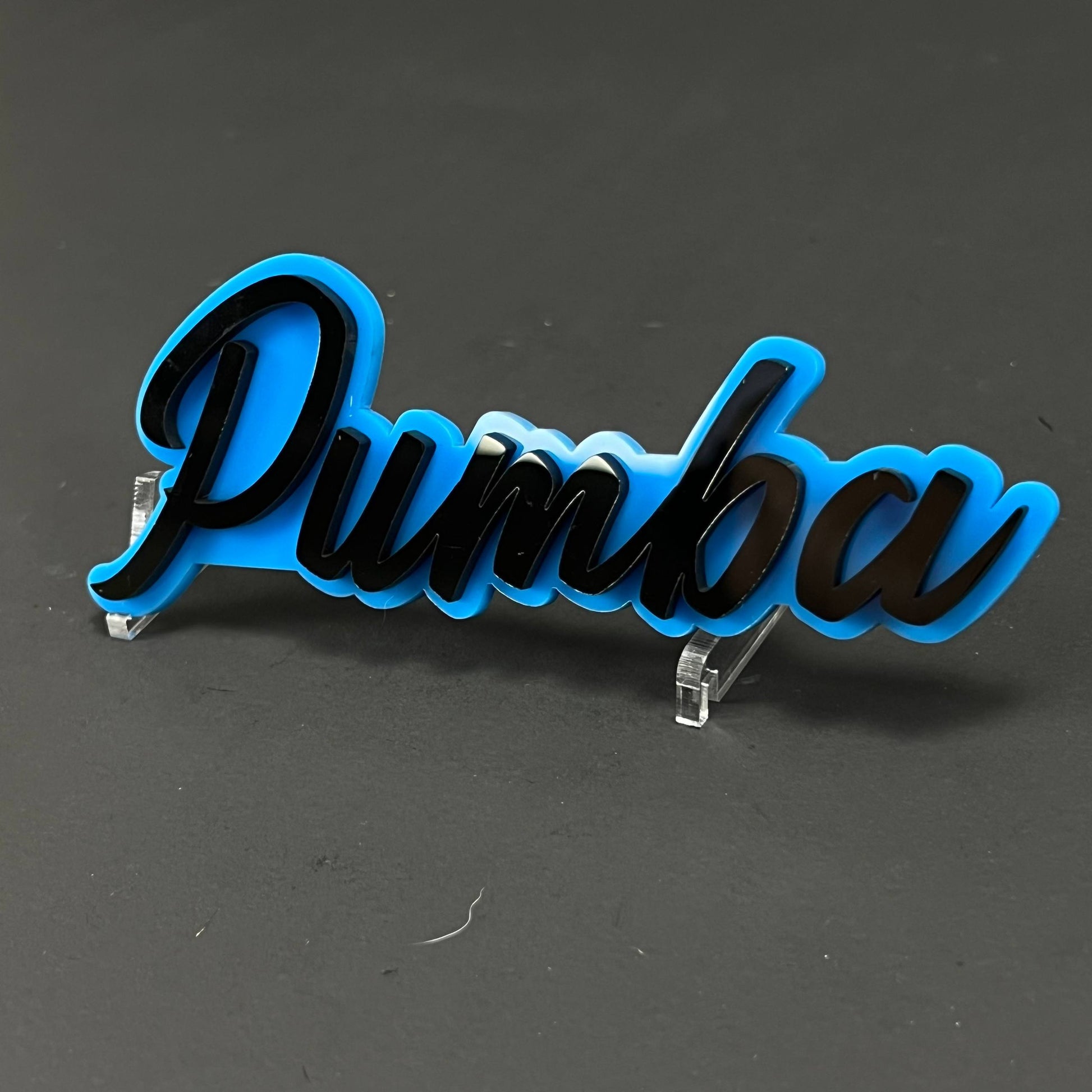1PC Pumba 3D Acrylic Badge - Car Truck Emblem Fender Tailgate Trunk Sticker