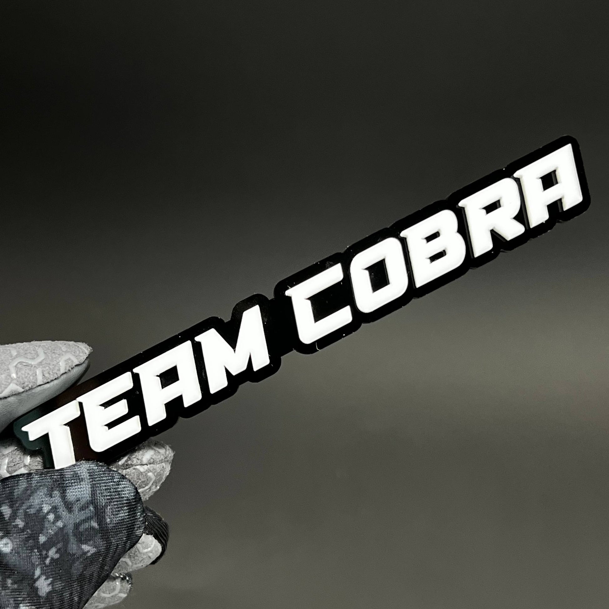 1PC TEAM COBRA 3D Acrylic Badge - Car Truck Emblem Fender Tailgate Trunk Sticker