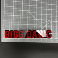 1PC BIGG DAWG 3D Acrylic Badge - Car Truck Emblem Fender Tailgate Trunk Sticker