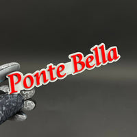 1PC Ponte Bella 3D Acrylic Badge - Car Truck Emblem Fender Sticker