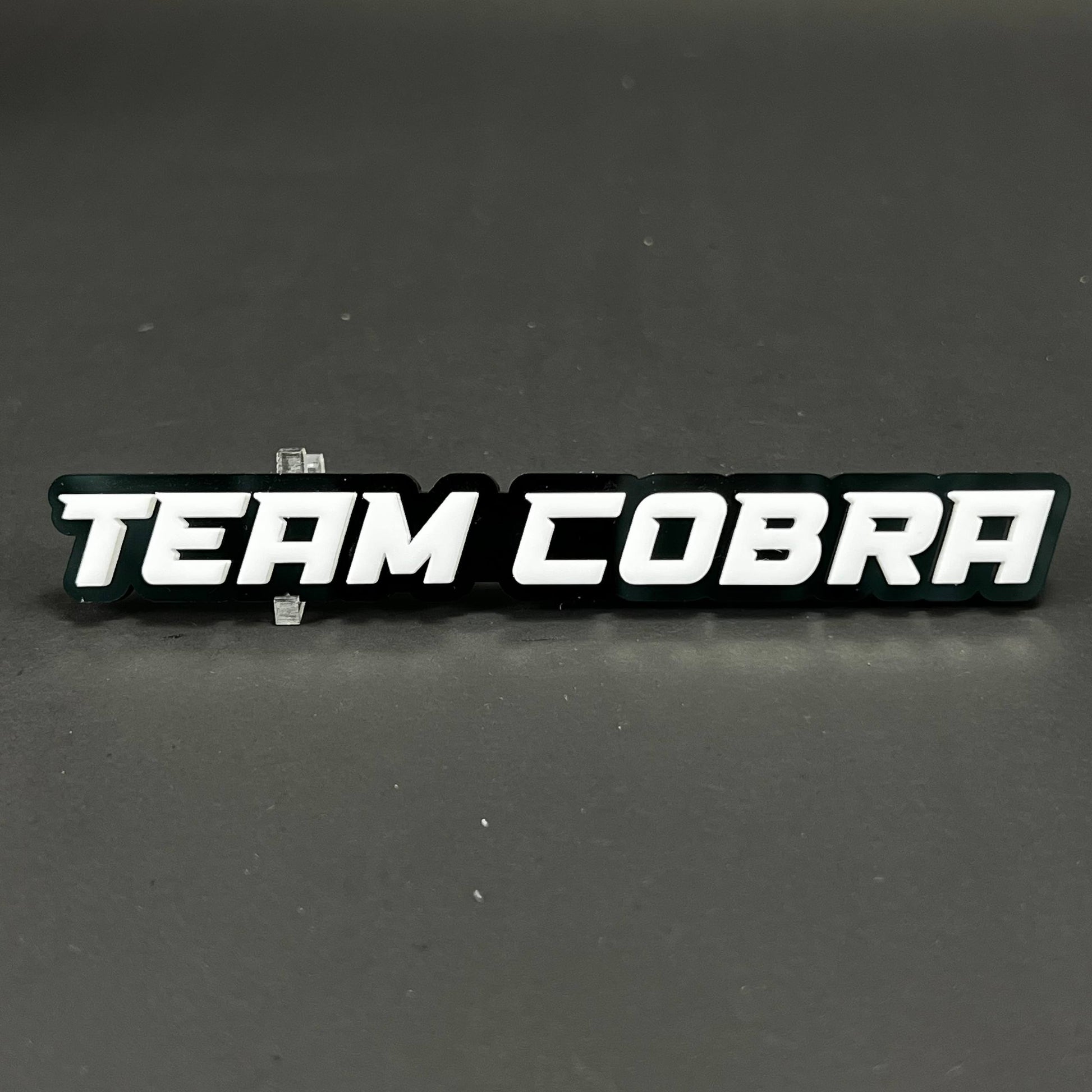 1PC TEAM COBRA 3D Acrylic Badge - Car Truck Emblem Fender Tailgate Trunk Sticker