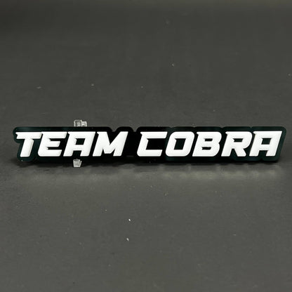 1PC TEAM COBRA 3D Acrylic Badge - Car Truck Emblem Fender Tailgate Trunk Sticker
