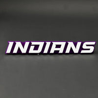 1PC INDIANS 3D Acrylic Badge - Car Truck Emblem Fender Tailgate Trunk Sticker