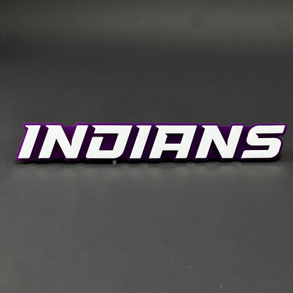 1PC INDIANS 3D Acrylic Badge - Car Truck Emblem Fender Tailgate Trunk Sticker