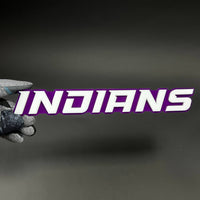 1PC INDIANS 3D Acrylic Badge - Car Truck Emblem Fender Tailgate Trunk Sticker